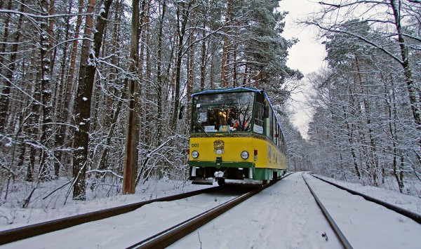 Водители Ростовской области будут ездить на трамваях в снегопад бесплатно 